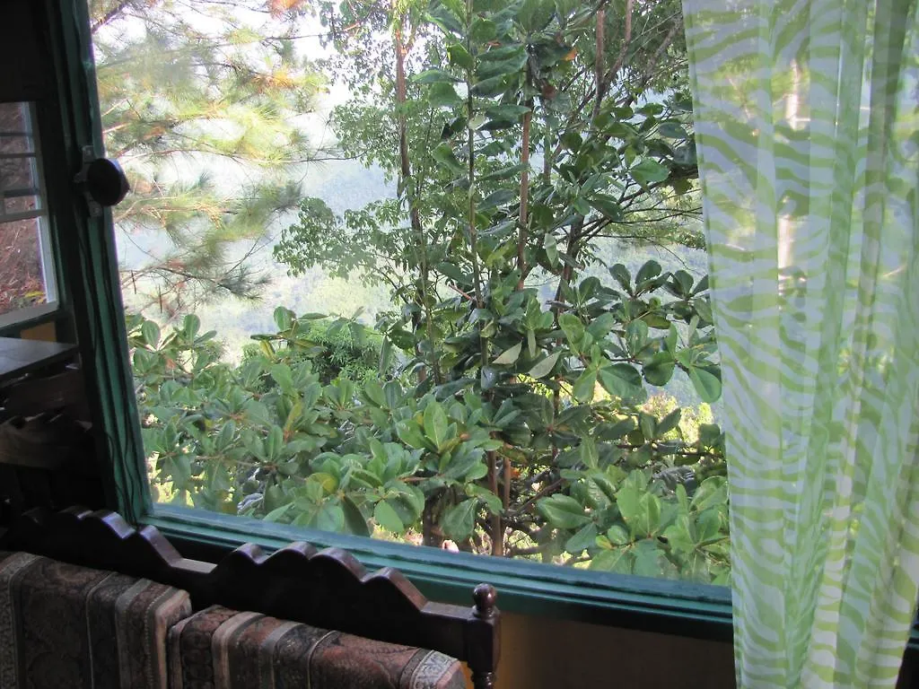 Blue Mountain Wilderness Retreat Villa Pleasing Prospect Lodge Port Antonio
