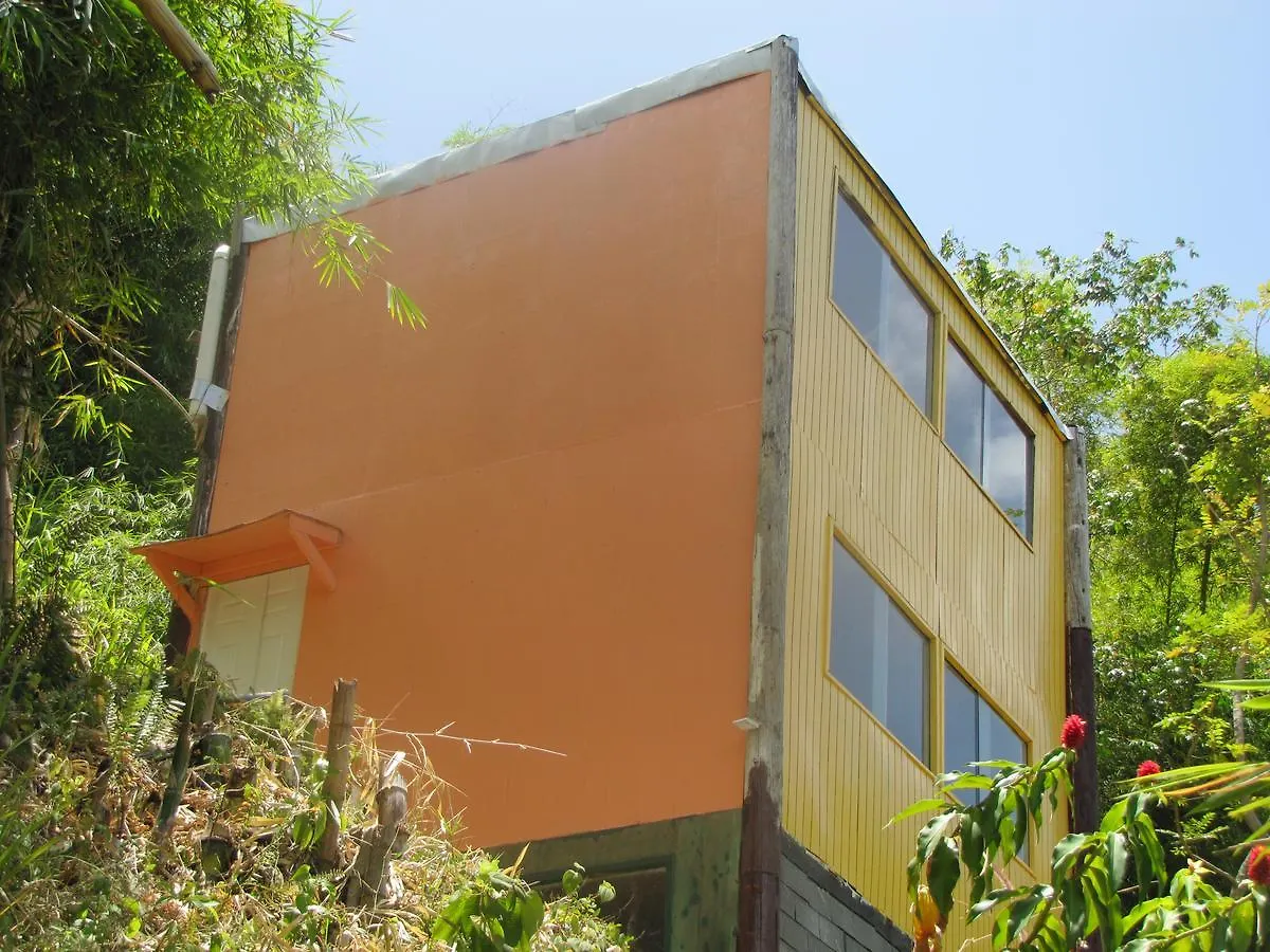 Blue Mountain Wilderness Retreat Villa Pleasing Prospect Lodge Port Antonio