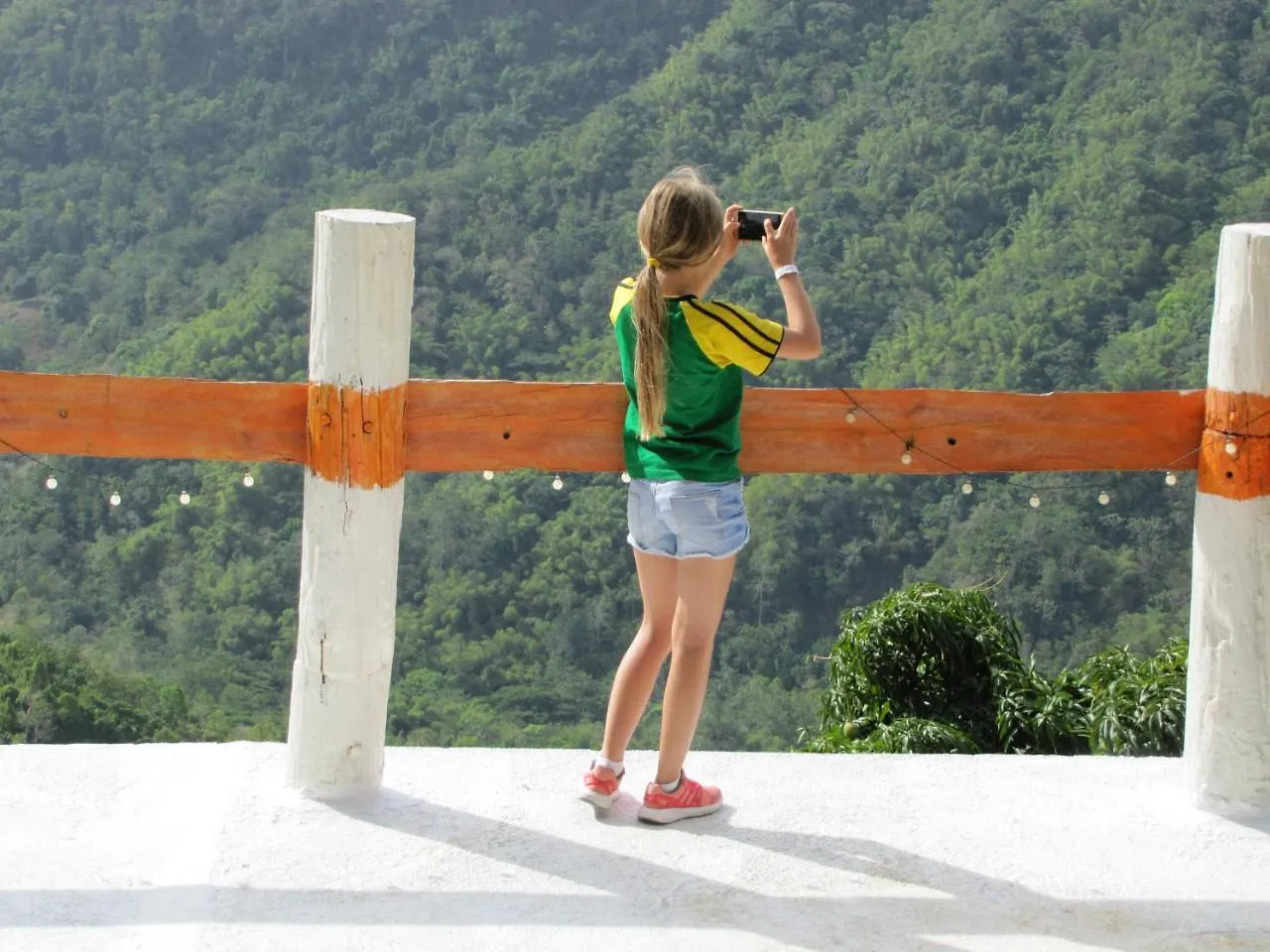 Blue Mountain Wilderness Retreat Villa Pleasing Prospect Lodge Port Antonio