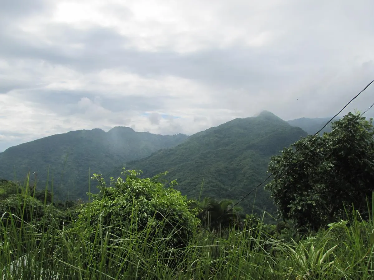Villa Blue Mountain Wilderness Retreat Pleasing Prospect Lodge